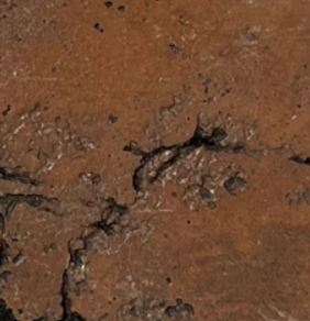 Close-up of a textured brown surface